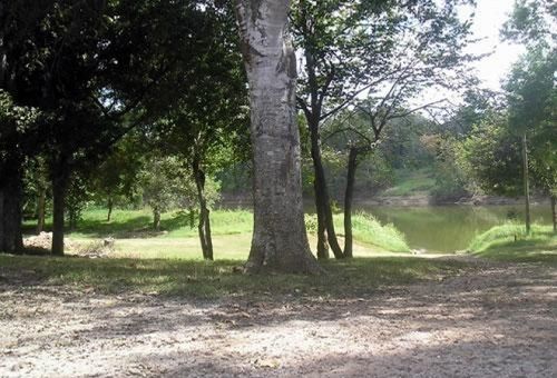 Colorado River Rv Campground Columbus Bagian luar foto