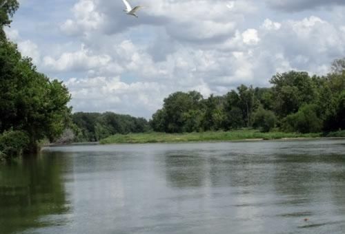 Colorado River Rv Campground Columbus Bagian luar foto